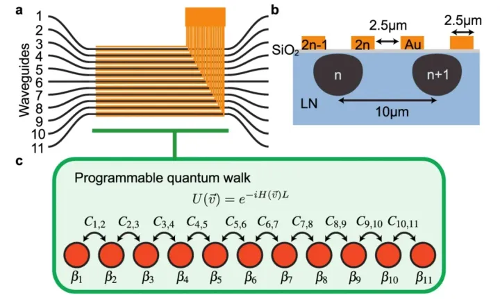 Pioneering the Future: Programmable Light-Based Quantum Processor