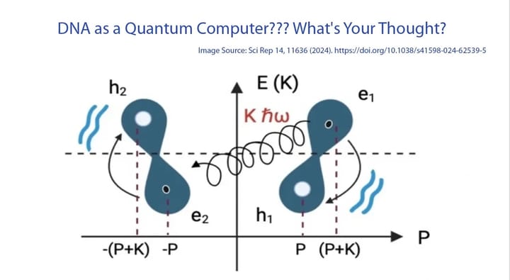 DNA as a Quantum Computer??? What's Your Thought?